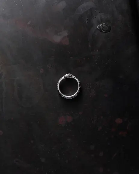 Srebrny pierścień OUROBOROS 12