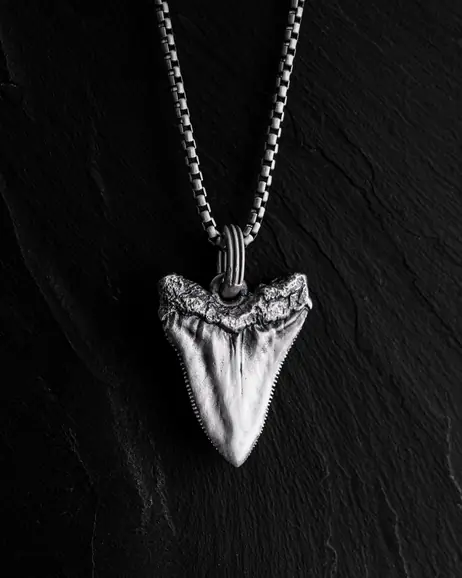 Srebrny wisiorek MEGALODON SHARK TOOTH 3