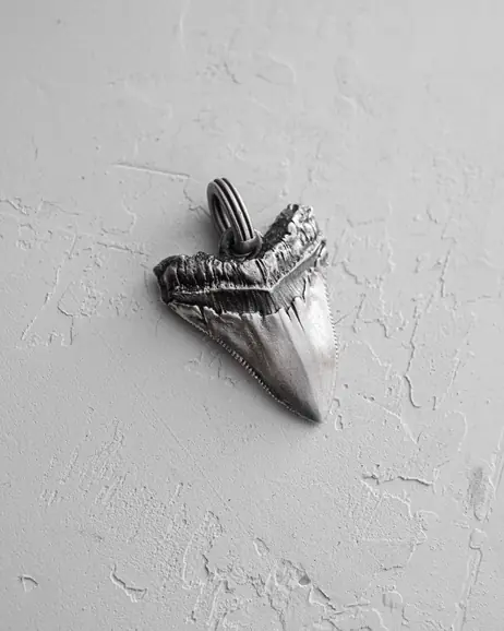 Srebrny wisiorek MEGALODON SHARK TOOTH 5