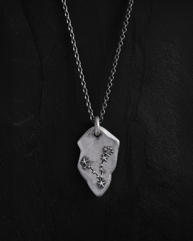 Srebrny wisiorek GWIAZDOZBIÓR RYBY na łańcuszku